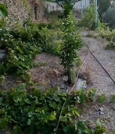 παραδοσιακό σπίτι με πανοραμική θέα 別荘 *