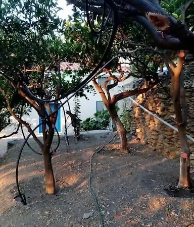 παραδοσιακό σπίτι με πανοραμική θέα Sineti